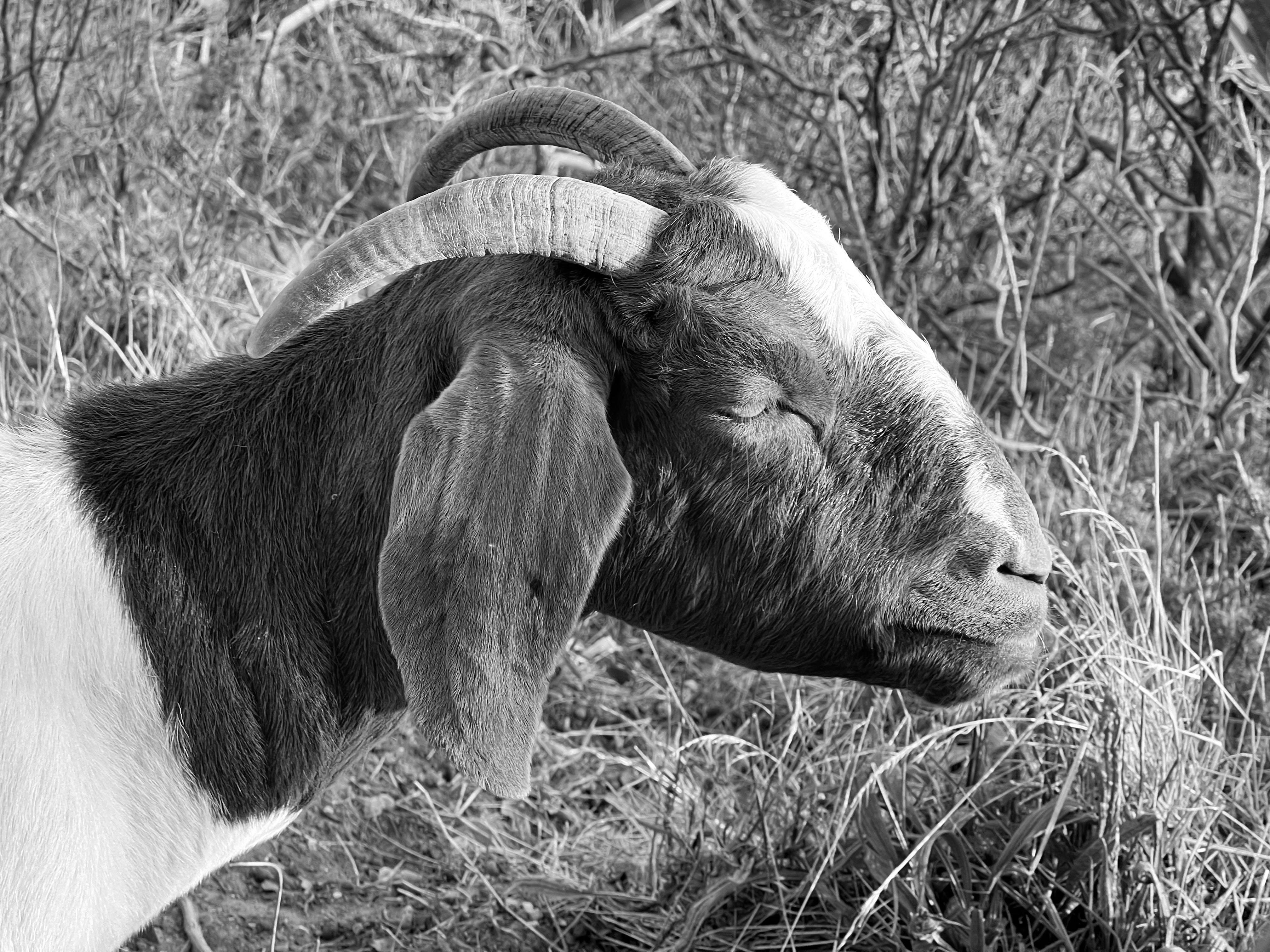 Building Trust Through Connection